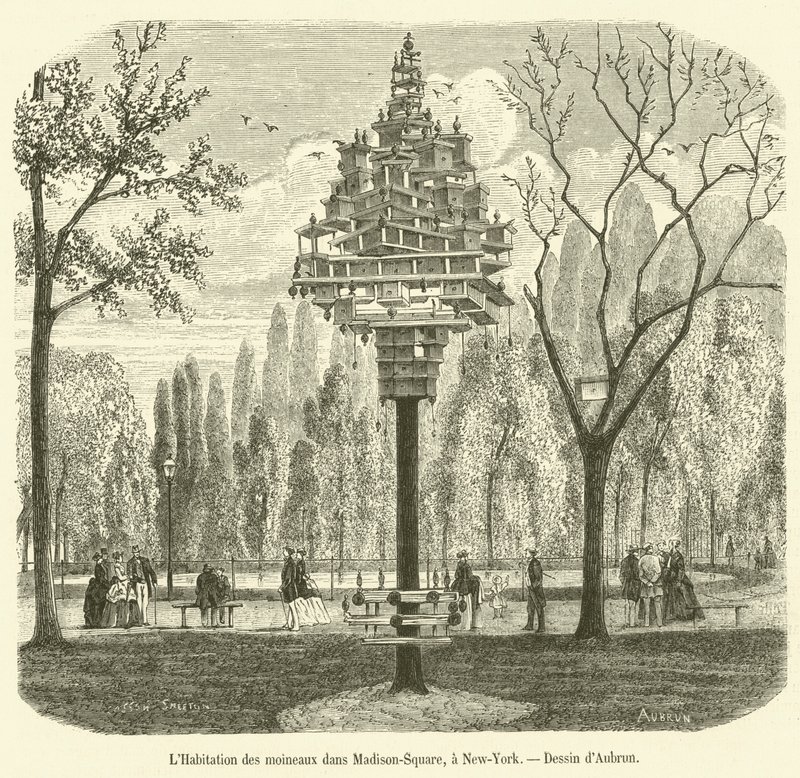 A verebek háza a Madison Square-en, New Yorkban (metszet) alkotó: French School
