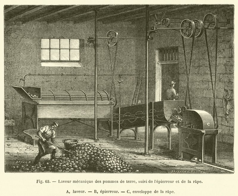 Mechanikus burgonyamosó, majd hámozó és reszelő (gravírozás) alkotó: French School