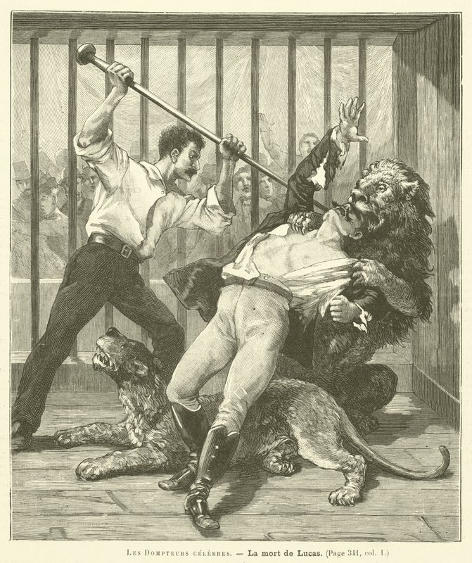A Tamer Lucas alkotó: French School