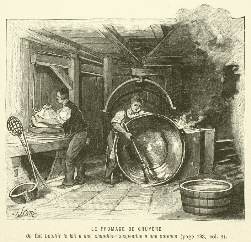 Gruyere sajt (metszet) alkotó: French School