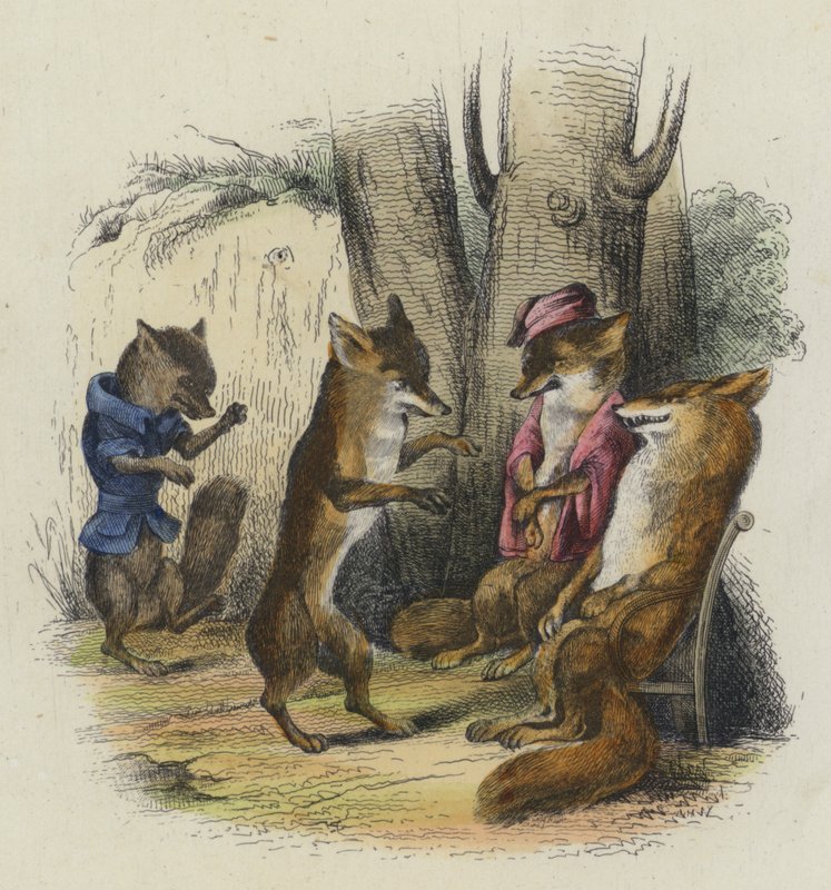 A róka, akinek le van vágva a farka (színes metszet) alkotó: French School