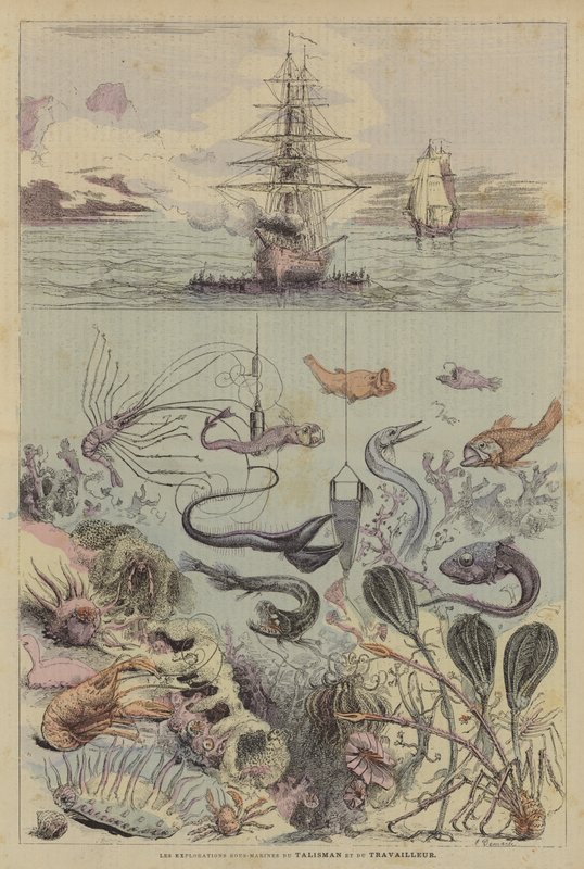 Les Explorations Sous-Marines Du Talisman Et Du Travailleur (színes litho) alkotó: French School