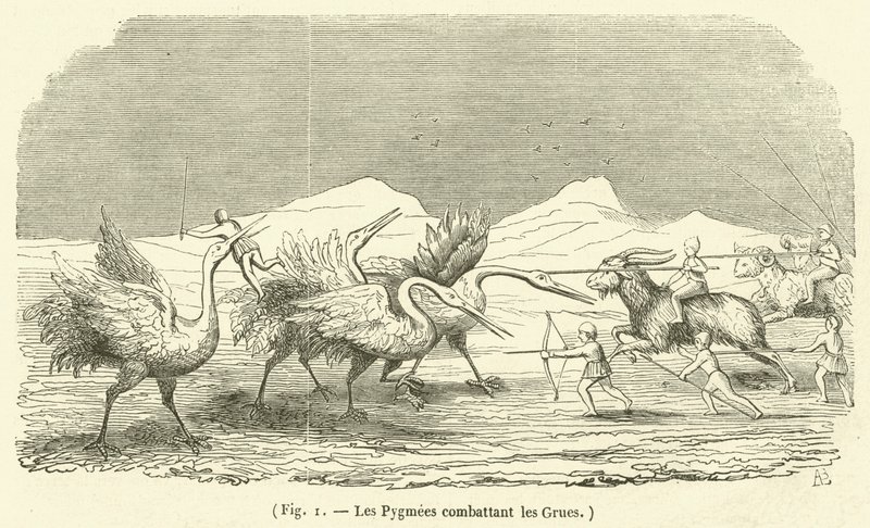 A darvakkal harcoló pigmeusok (metszet) alkotó: French School
