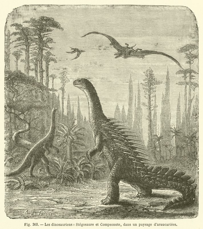 A dinoszauruszok, a Stegosaurus és a Compsonote, Araucariae táján (metszet) alkotó: French School