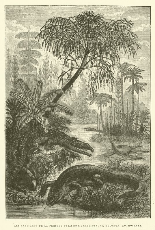 A triász kor lakói, capitosaurus, belodon, nothosaurus (metszet) alkotó: French School
