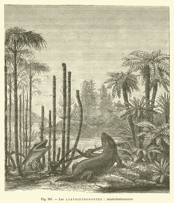 Les labyrinthodontes, mastodontosaures (metszet) alkotó: French School