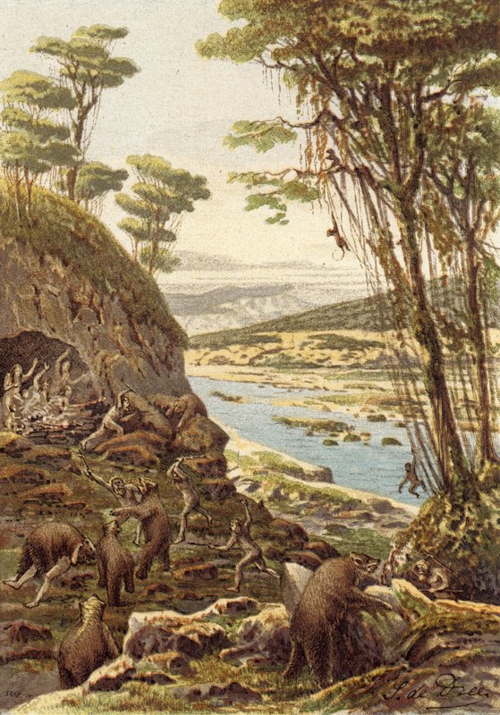 Az emberiség első korszakai, a barlangi medve kora (színes litográfia) alkotó: French School