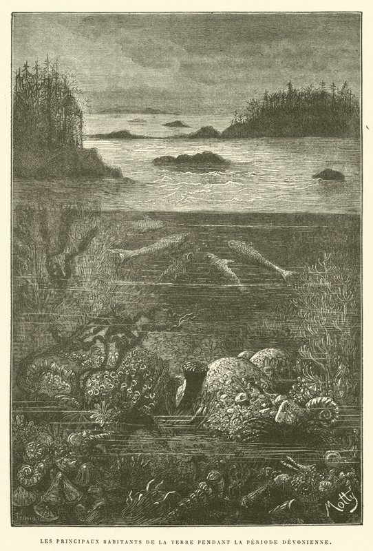 A Föld fő lakói a devon korszakban (metszet) alkotó: French School