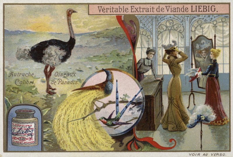Liebig kártya madarak képeivel alkotó: French School