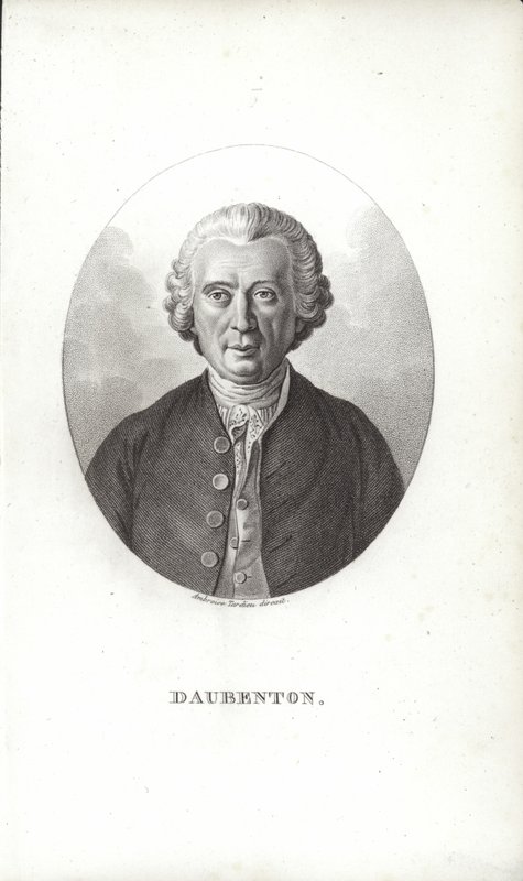 Louis-Jean-Marie Daubenton alkotó: French School