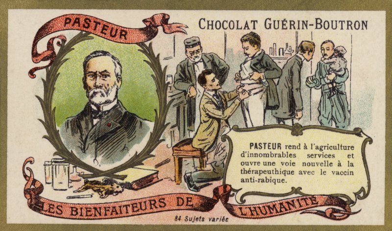 Louis Pasteur francia kémikus és mikrobiológus (chromolitho) alkotó: French School