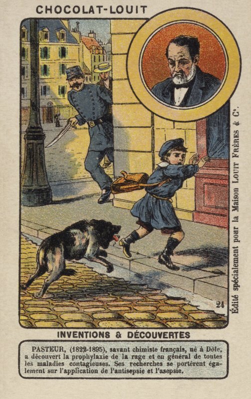 Louis Pasteur francia kémikus és mikrobiológus alkotó: French School