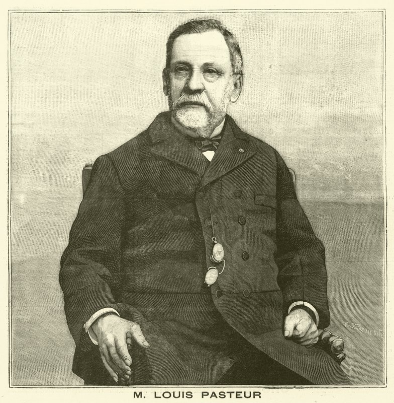 Louis Pasteur, francia mikrobiológus (metszet) alkotó: French School