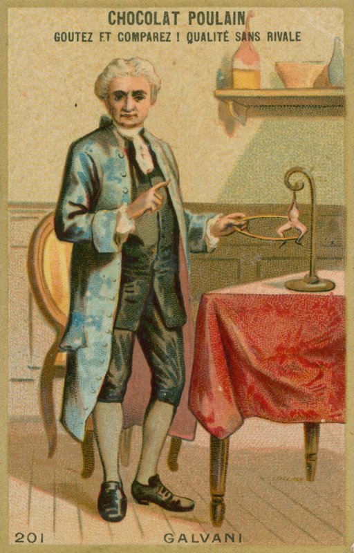 Luigi Galvani alkotó: French School