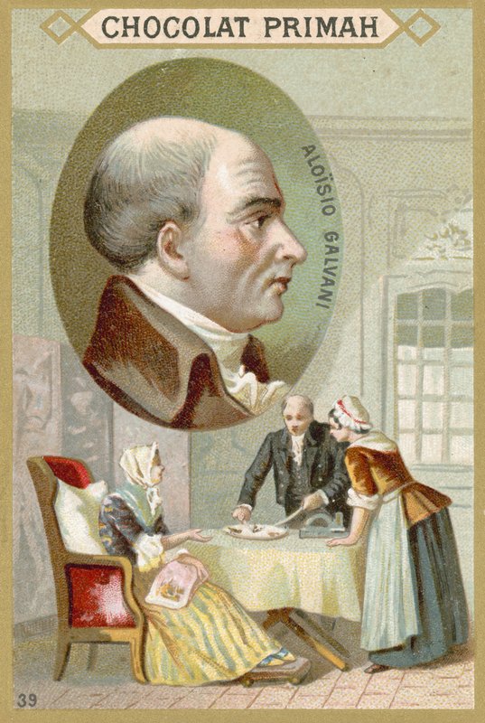 Luigi Galvani olasz orvos és fizikus alkotó: French School