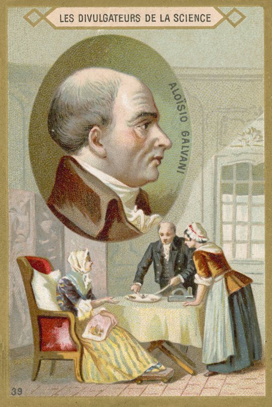 Luigi Galvani olasz orvos és fizikus alkotó: French School