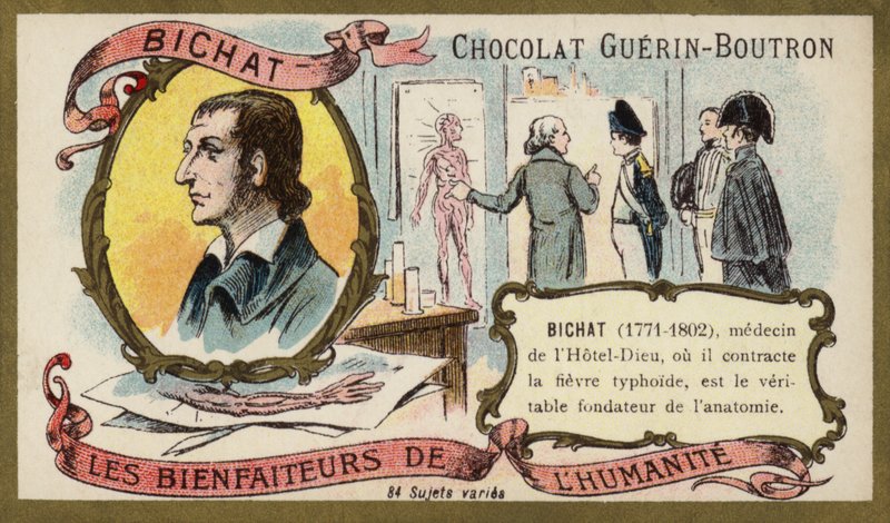 Marie Francois Xavier Bichat, francia fiziológus és anatómus (chromolitho) alkotó: French School
