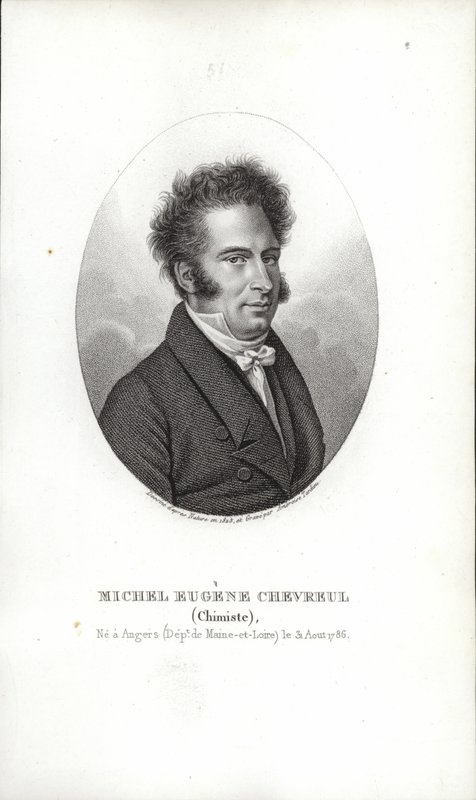 Michel Eugene Chevreul alkotó: French School