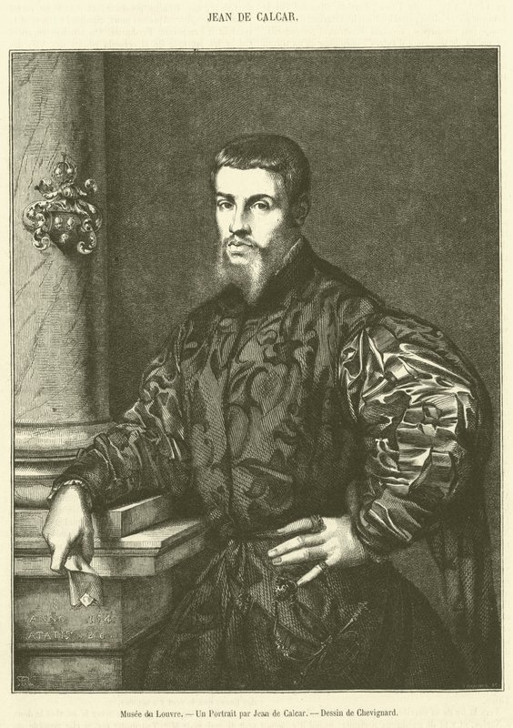 Louvre Múzeum, Jean de Calcar portréja (metszet) alkotó: French School