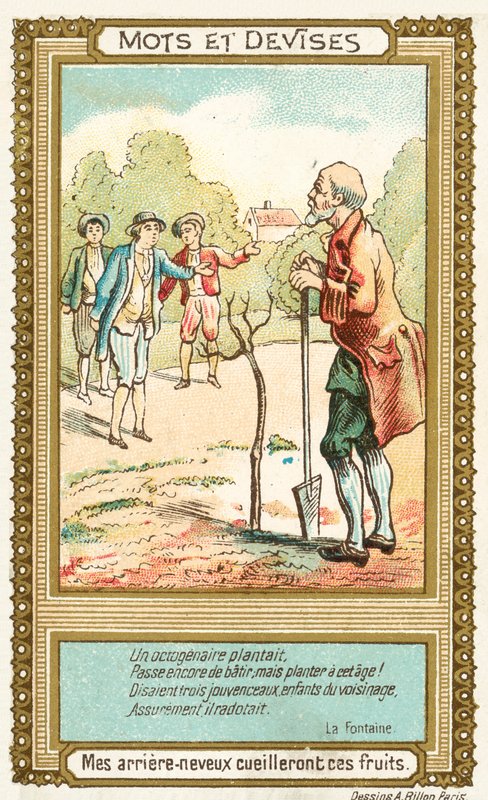 Dükunokaöcséim fogják betakarítani ezeket a gyümölcsöket (chromolitho) alkotó: French School