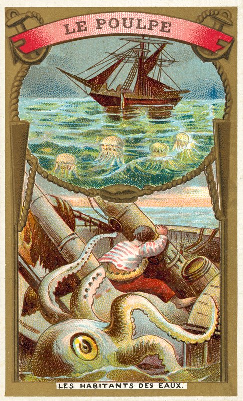 Polip (chromolitho) alkotó: French School