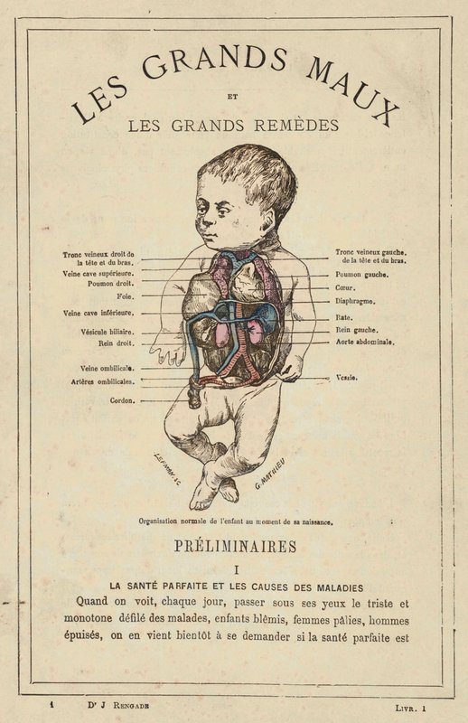 A gyermek normális szervezettsége a születéskor (színes litho) alkotó: French School