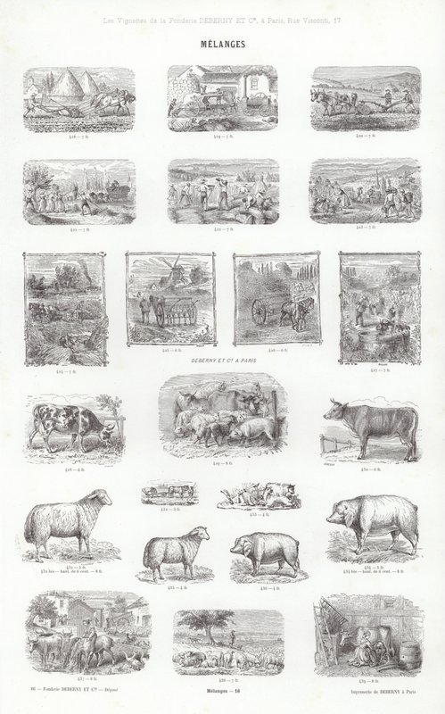 Oldal a tipográfiai matricákból (metszet) alkotó: French School