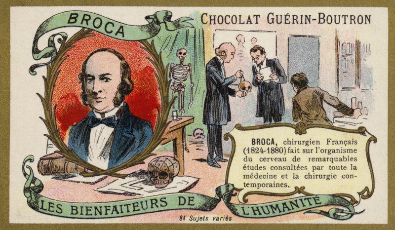 Paul Broca francia orvos, anatómus és antropológus (chromolitho) alkotó: French School