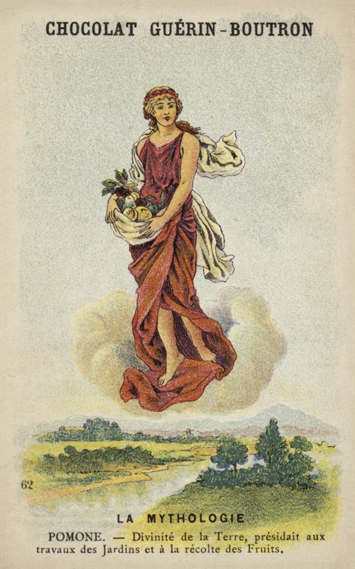 Pomone vagy Pomona alkotó: French School