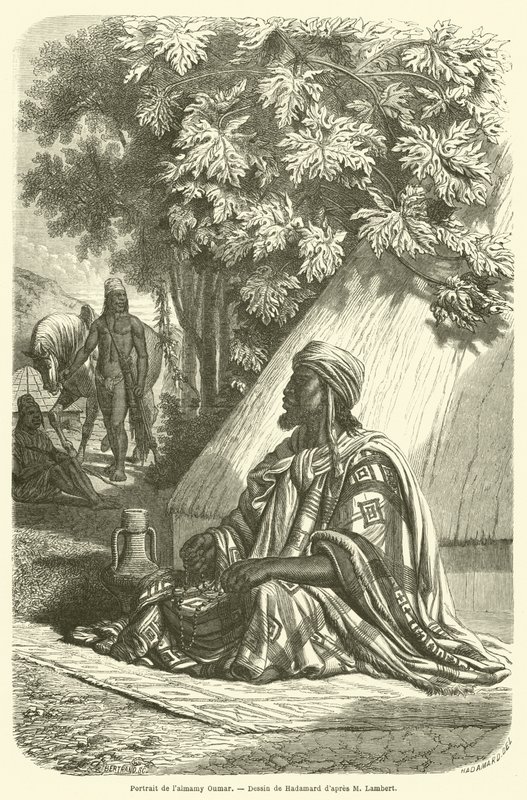 Almamy Oumar portréja (metszet) alkotó: French School
