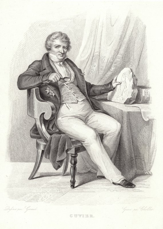 George Cuvier portréja alkotó: French School