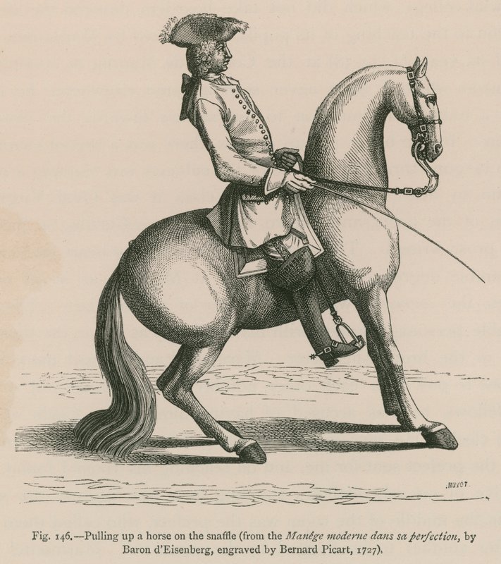 Ló felhúzása snaffle-n (a Manege moderne dans sa perfection-ból, dEisenberg báró, metszet: Bernard Picart, 1727) alkotó: French School