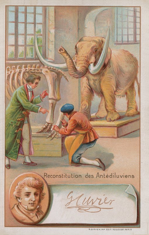 Georges Cuvier francia természettudós és zoológus (1769-1832) rekonstrukciója az özönvíz előtti időszakról. alkotó: French School