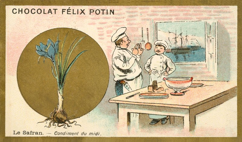 Sáfrány (chromolitho) alkotó: French School
