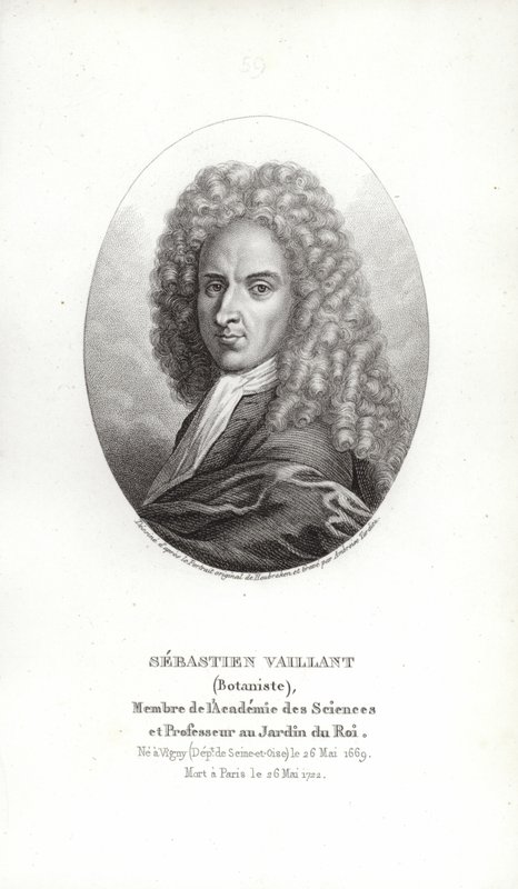 Sebastien Vaillant alkotó: French School