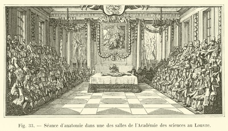 Anatómia foglalkozás a Tudományos Akadémia egyik termében a Louvre-ban alkotó: French School