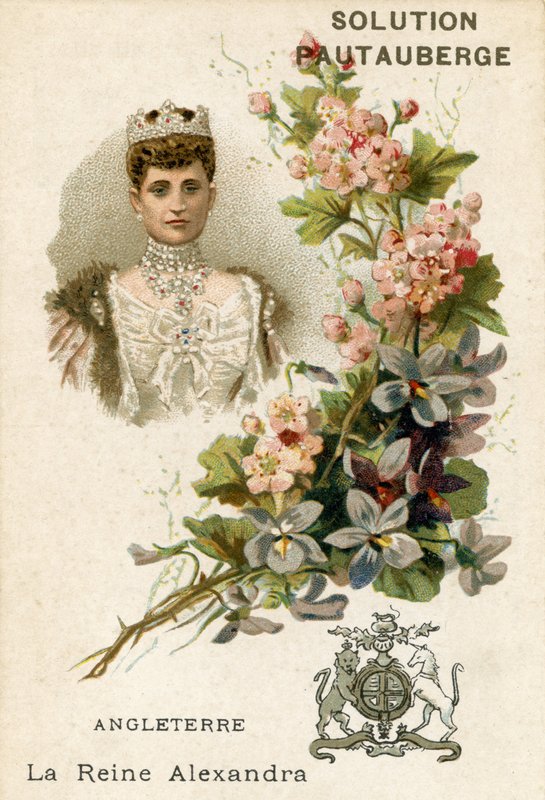 Megoldás Pautauberge kereskedelmi kártya, Alexandra of Denmark alkotó: French School