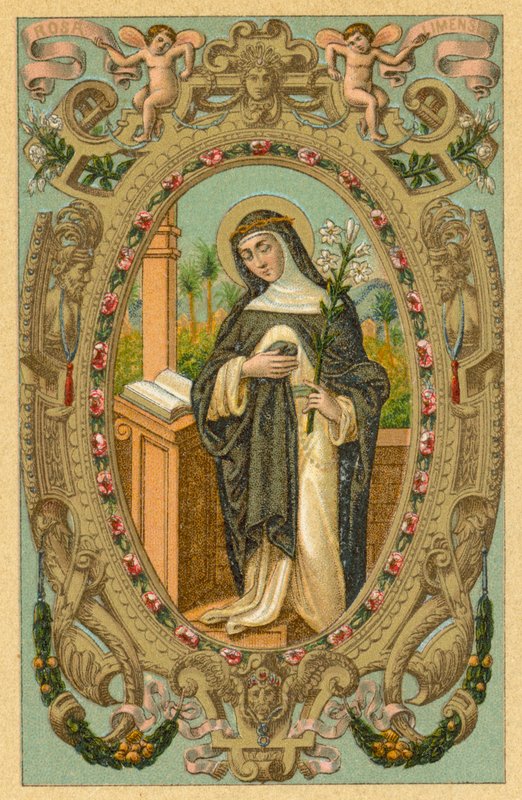 Rosa Limensis áll alkotó: French School