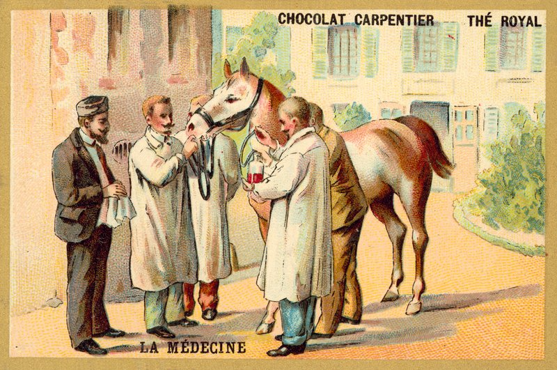 Vérvétel lóból (chromolitho) alkotó: French School