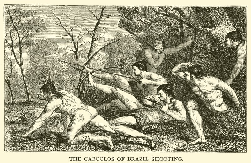 The Caboclos of Brazil Shooting (metszet) alkotó: French School