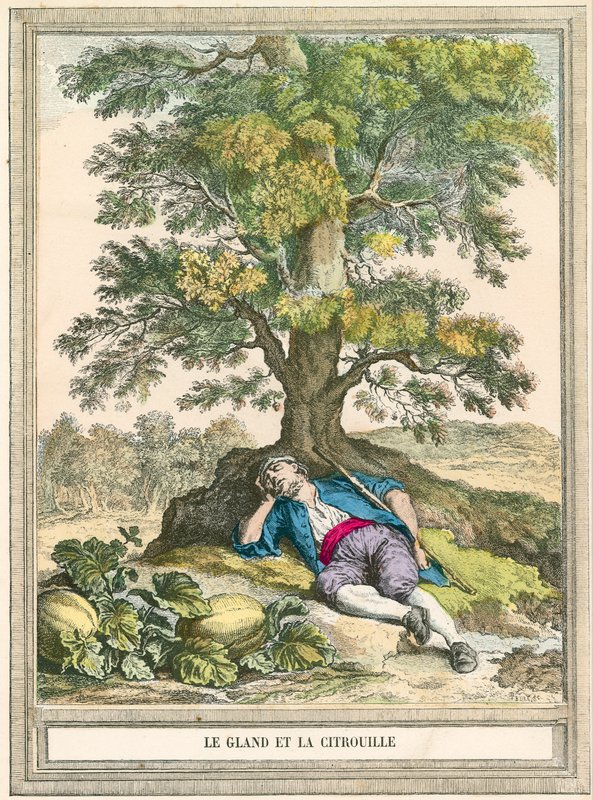 A makk és a sütőtök alkotó: French School