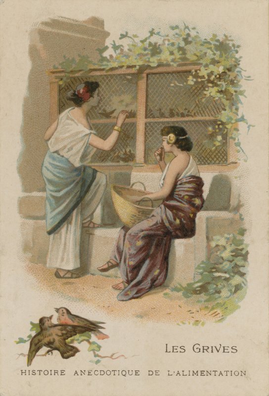 A rigók alkotó: French School
