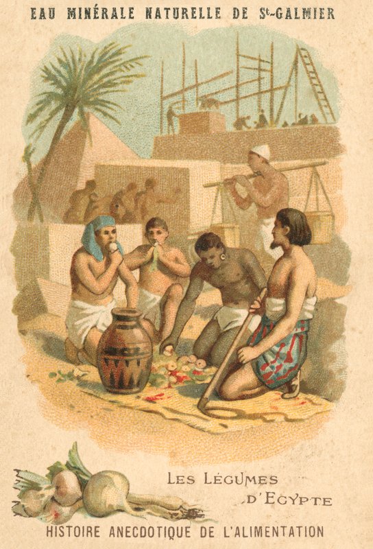 Egyiptom zöldségei (chromolitho) alkotó: French School
