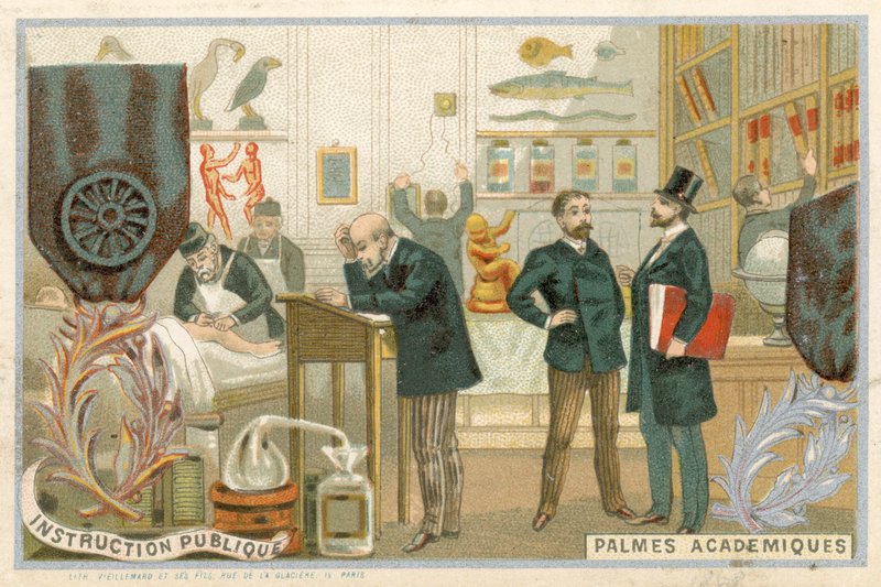 Kereskedelmi kártya az Ordre des Palmes Academiques képével alkotó: French School