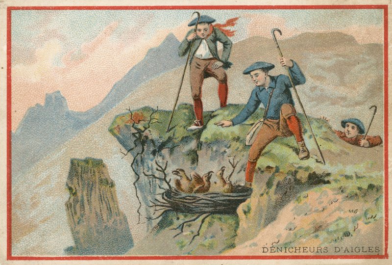 Kereskedelmi kártya sastojást lopó férfiak képével alkotó: French School