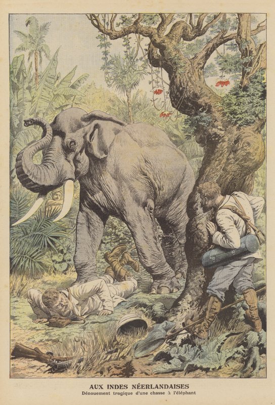 Tragikus vége egy elefántvadászatnak a Holland Kelet-Indiában (színes litho) alkotó: French School