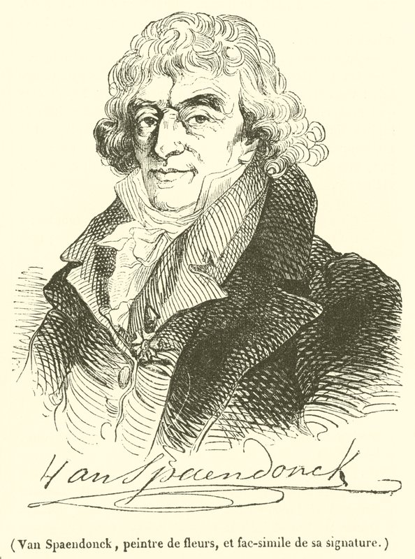 Van Spaendonck, virágfestő és aláírásának fakszimile (metszet) alkotó: French School