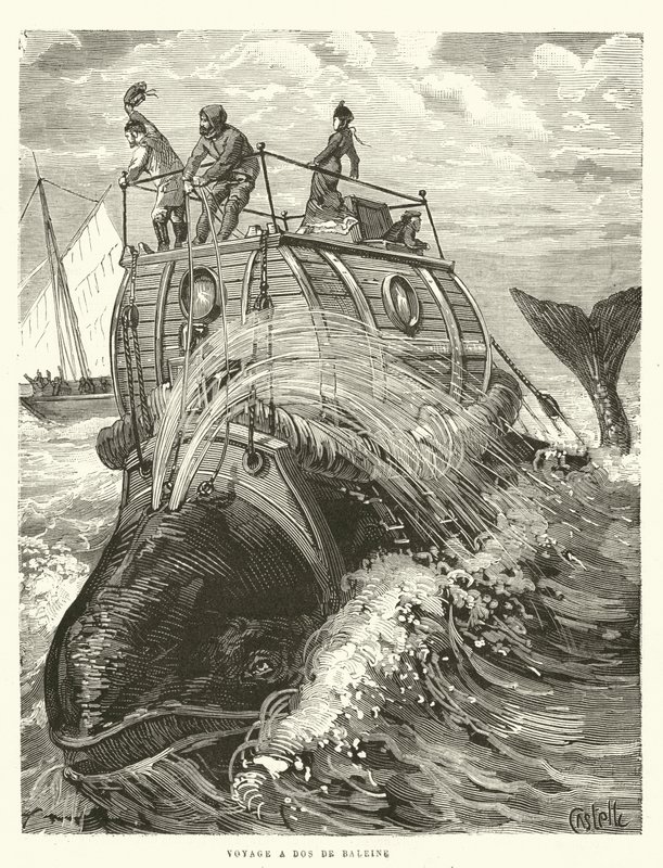 Voyage a Dos de Baleine (metszet) alkotó: French School