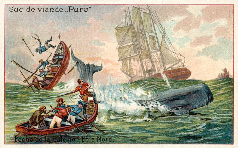 Bálnavadászat az Északi-sarkvidéken (chromolitho) alkotó: French School
