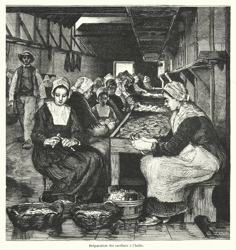 Szardínia készítő nők (metszet) alkotó: French School